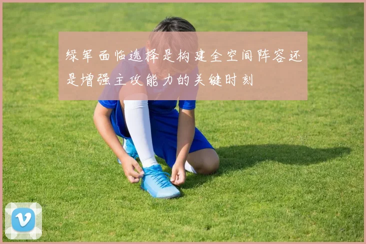 绿军面临选择是构建全空间阵容还是增强主攻能力的关键时刻