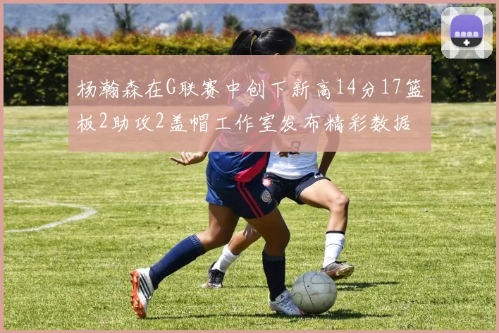 杨瀚森在G联赛中创下新高14分17篮板2助攻2盖帽工作室发布精彩数据海报